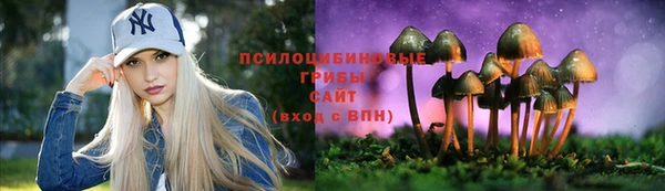 амф Володарск