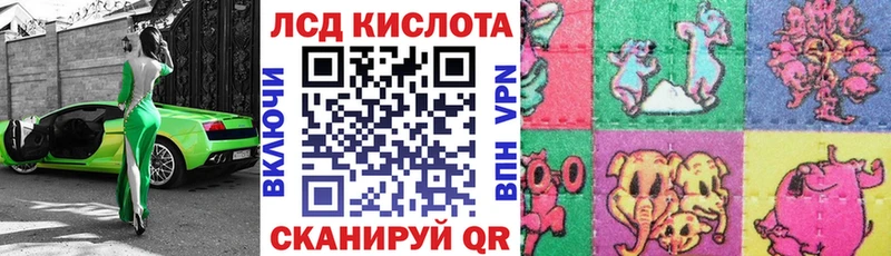 купить наркотики сайты  Зуевка  Наркотические марки 1,8мг 